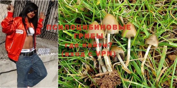 дживик Надым