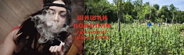 дживик Надым