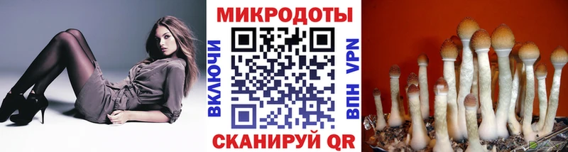Галлюциногенные грибы мухоморы  Купить  Ковров 